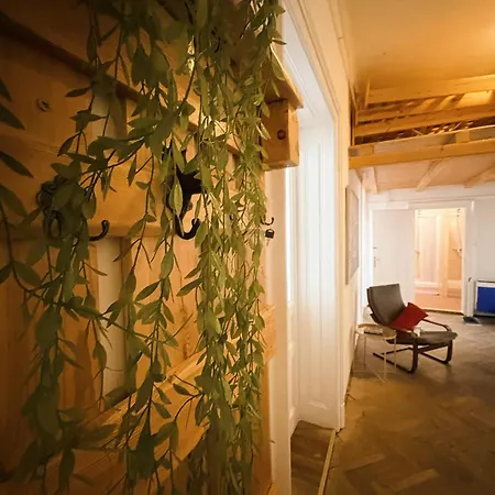 Sunny Rooms Brno Centre - 10 Min Walk To Main Square, Quiet Streets, Free Wi-Fi Apartamento Brno